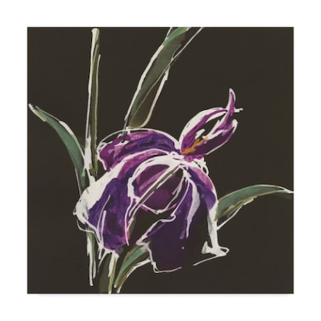 Chris Paschke 'Iris On Black Iii' Canvas Art,14x14